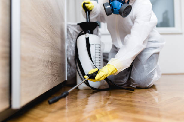 Best Insect Control  in Waynesville, NC