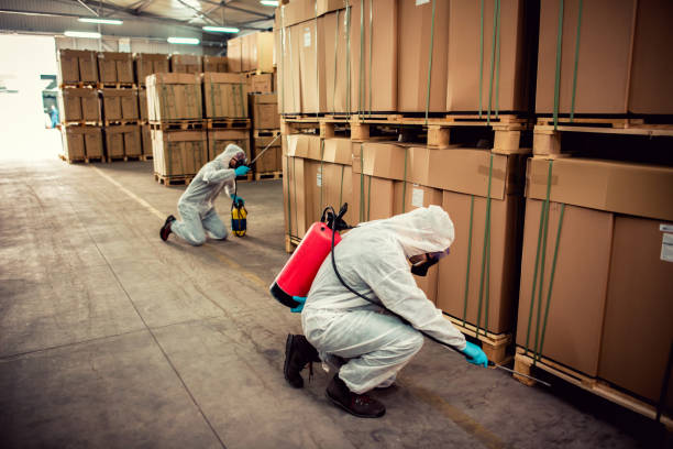 Best Best Pest Control Companies  in Waynesville, NC