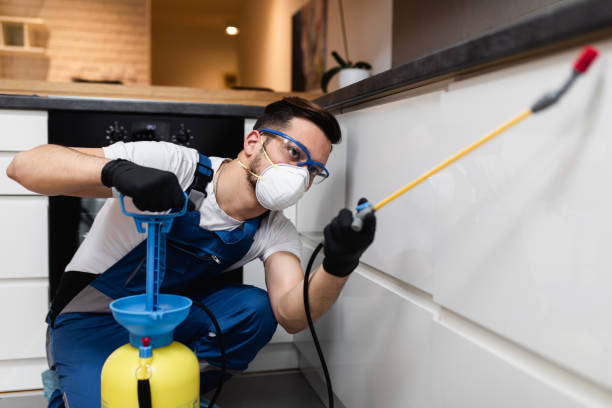 Best Residential Pest Control  in Waynesville, NC