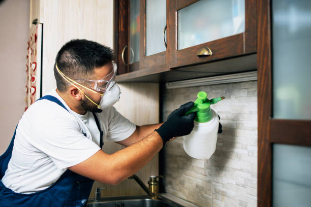 Best Commercial Pest Control Services  in Waynesville, NC