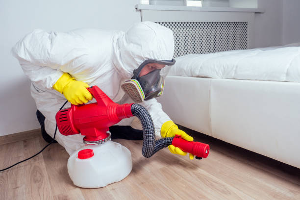 Best Affordable Pest Control Services  in Waynesville, NC