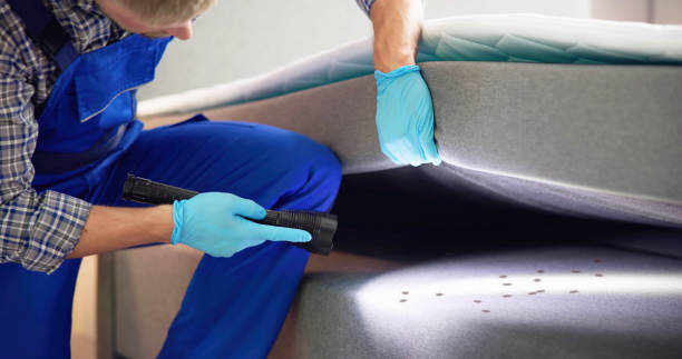 Best Affordable Pest Control Services  in Waynesville, NC
