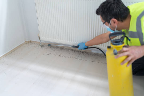 Best Wasp Removal Services  in Waynesville, NC